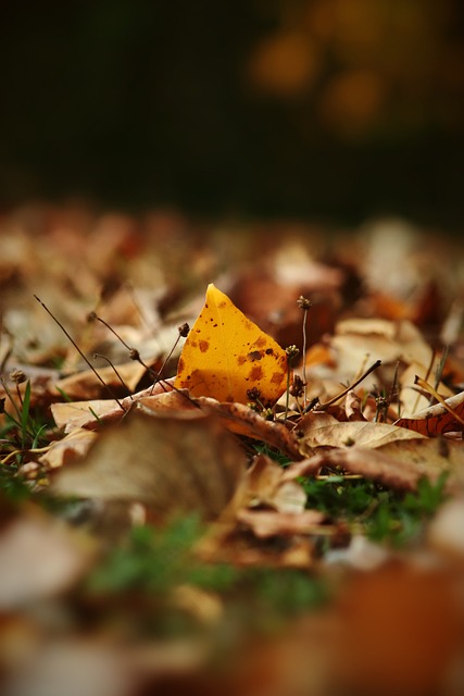 间展开的一 间展开的一